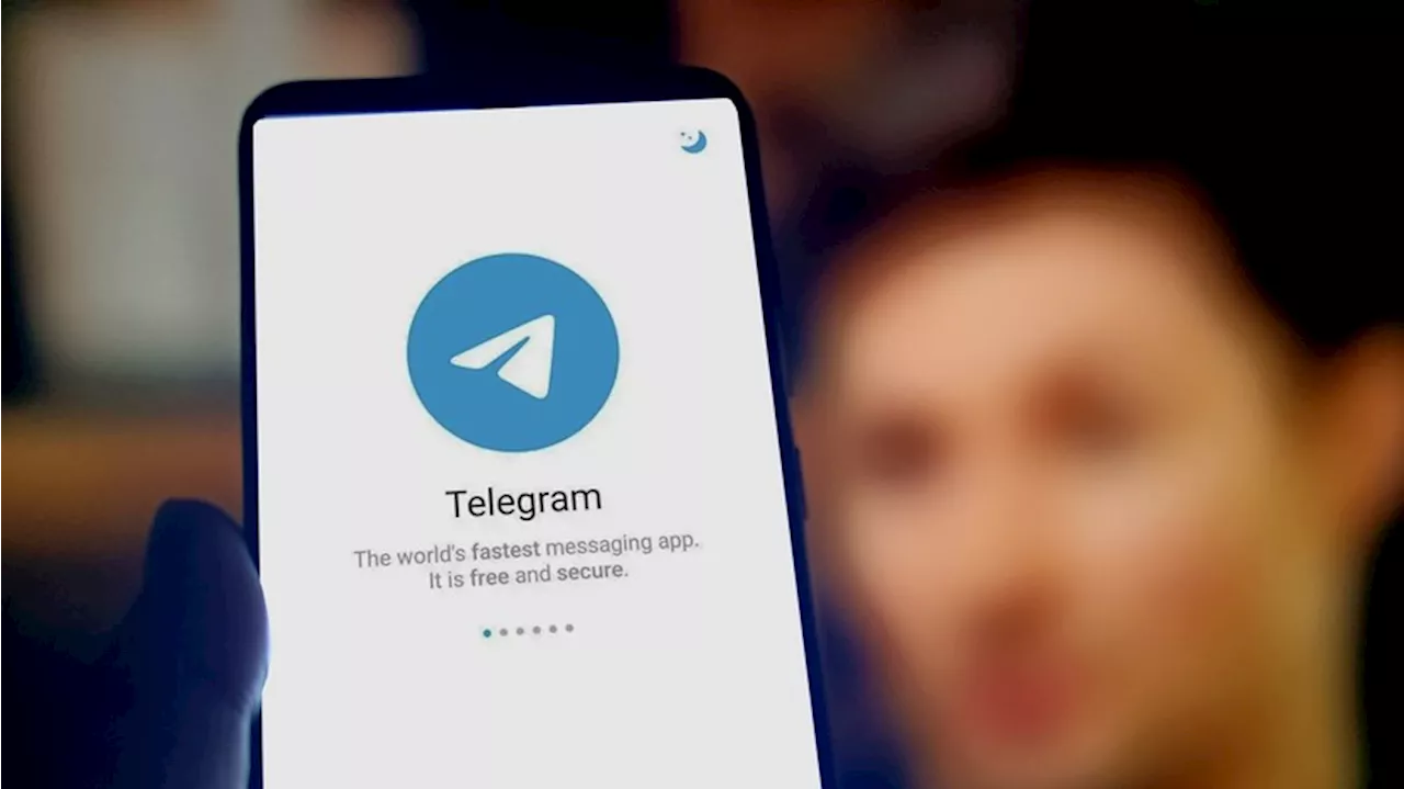 Юрист Хаминский: Ирина Болгар не сможет претендовать на половину Telegram