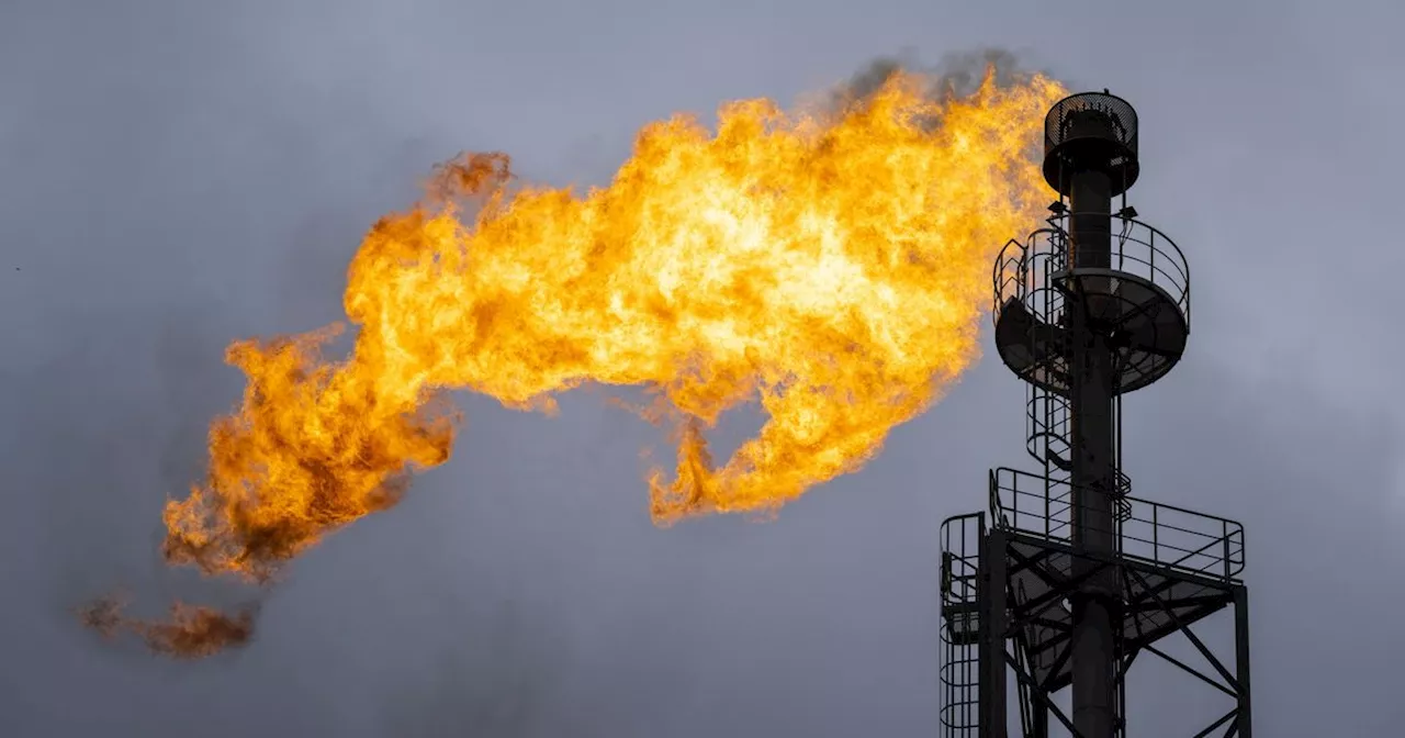 NAM ziet af van gaswinning uit veld Nieuw-Amsterdam