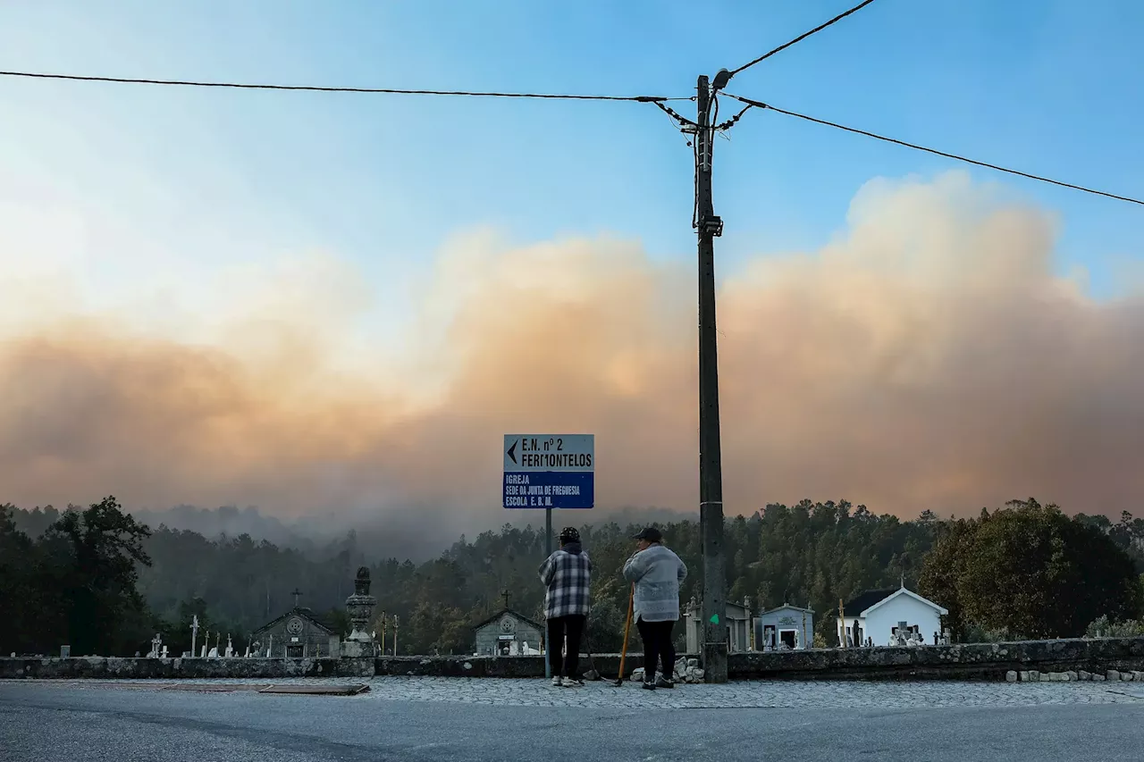 Dez incêndios e cinco aldeias isoladas: tudo isto num só dia em Viseu