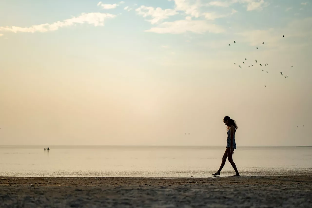 Does Utah have a legal obligation to save the Great Salt Lake?