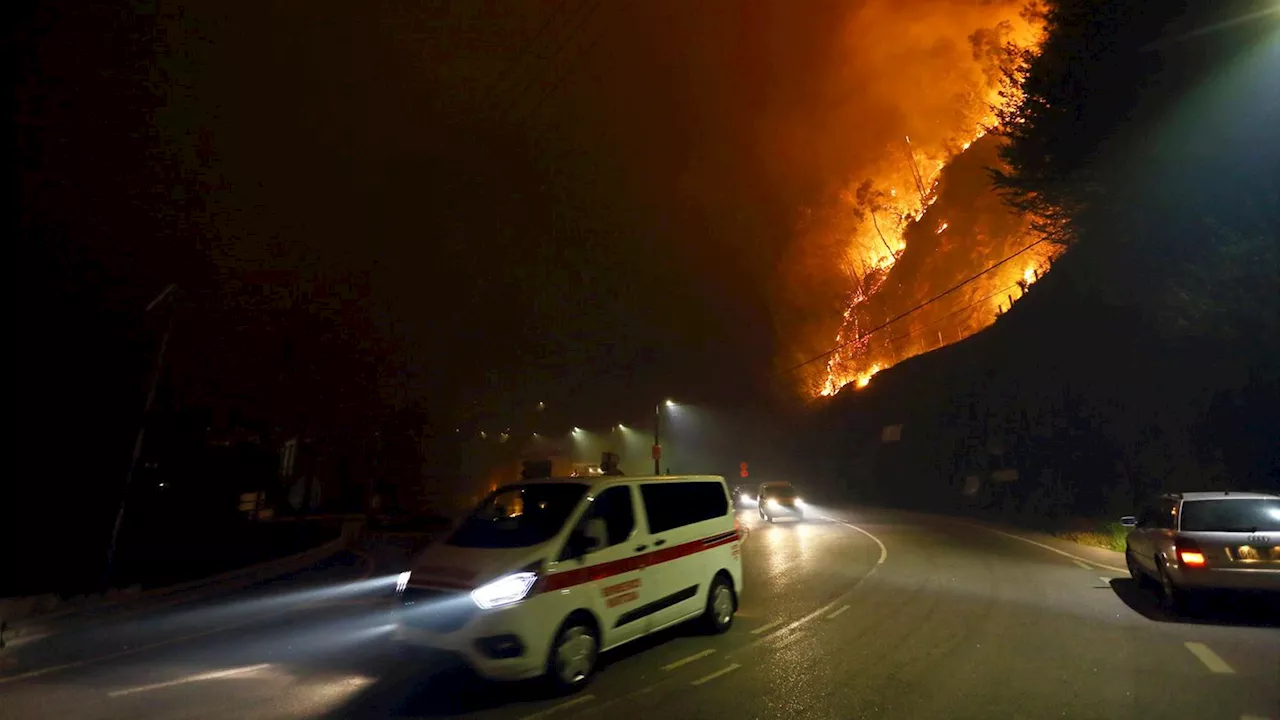 Waldbrände in Portugal: 'Das ist wie das Ende der Welt'