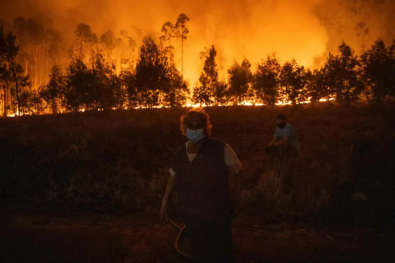 EN IMAGES. Incendies au Portugal : les feux de septembre ont ravagé davantage de surface que pendant tout l’été