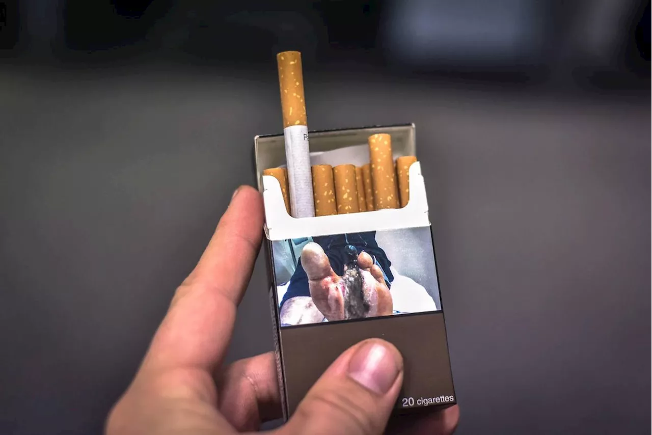 Pays basque : un chauffeur polonais arrêté à la frontière avec 1,2 million de fausses cigarettes