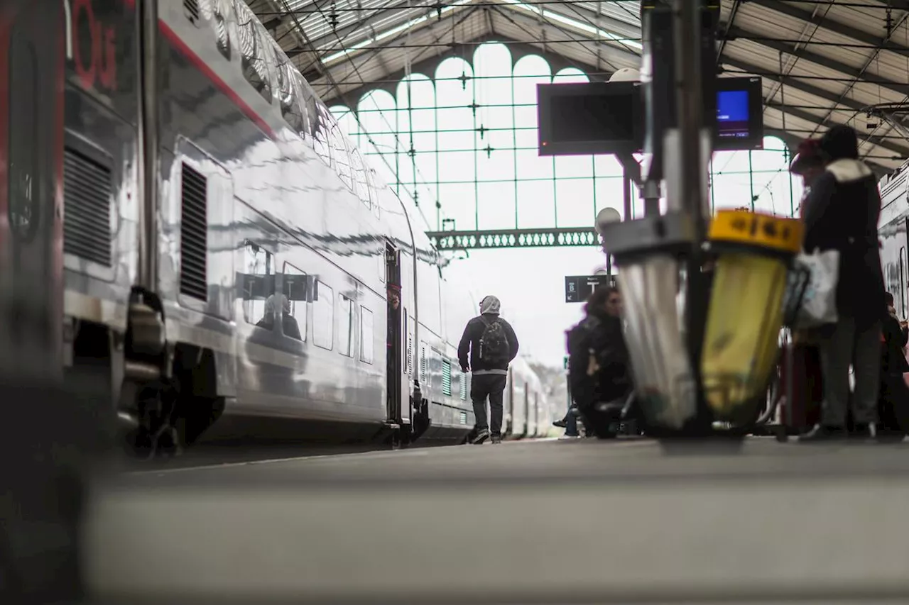 Trains : en 2023, le réseau était impliqué dans presque la moitié des retards de la ligne Hendaye/Pau/Tarbes