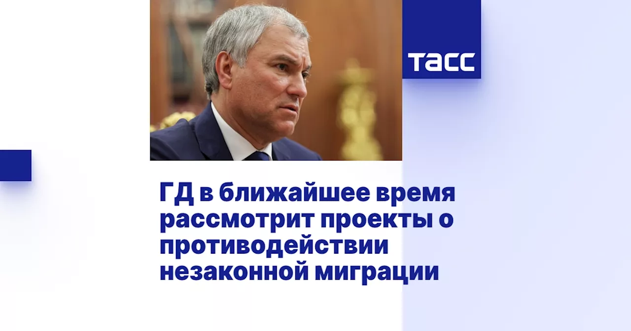 ГД в ближайшее время рассмотрит проекты о противодействии незаконной миграции