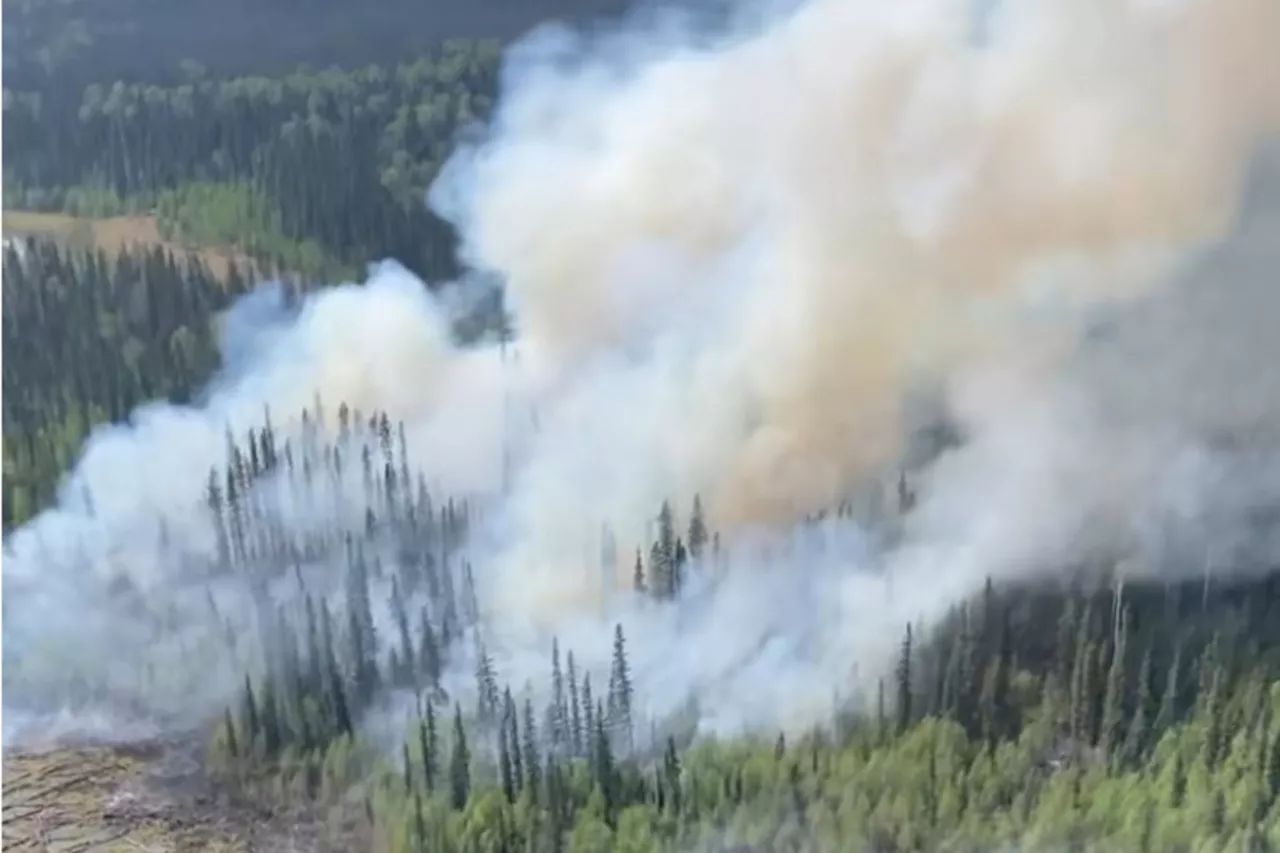 More of northeast B.C. burned in 2023, 2024 than previous 60 years combined