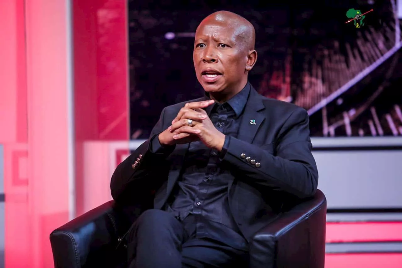 Malema: EFF leadership said ‘hell no’ to possible Shivambu return