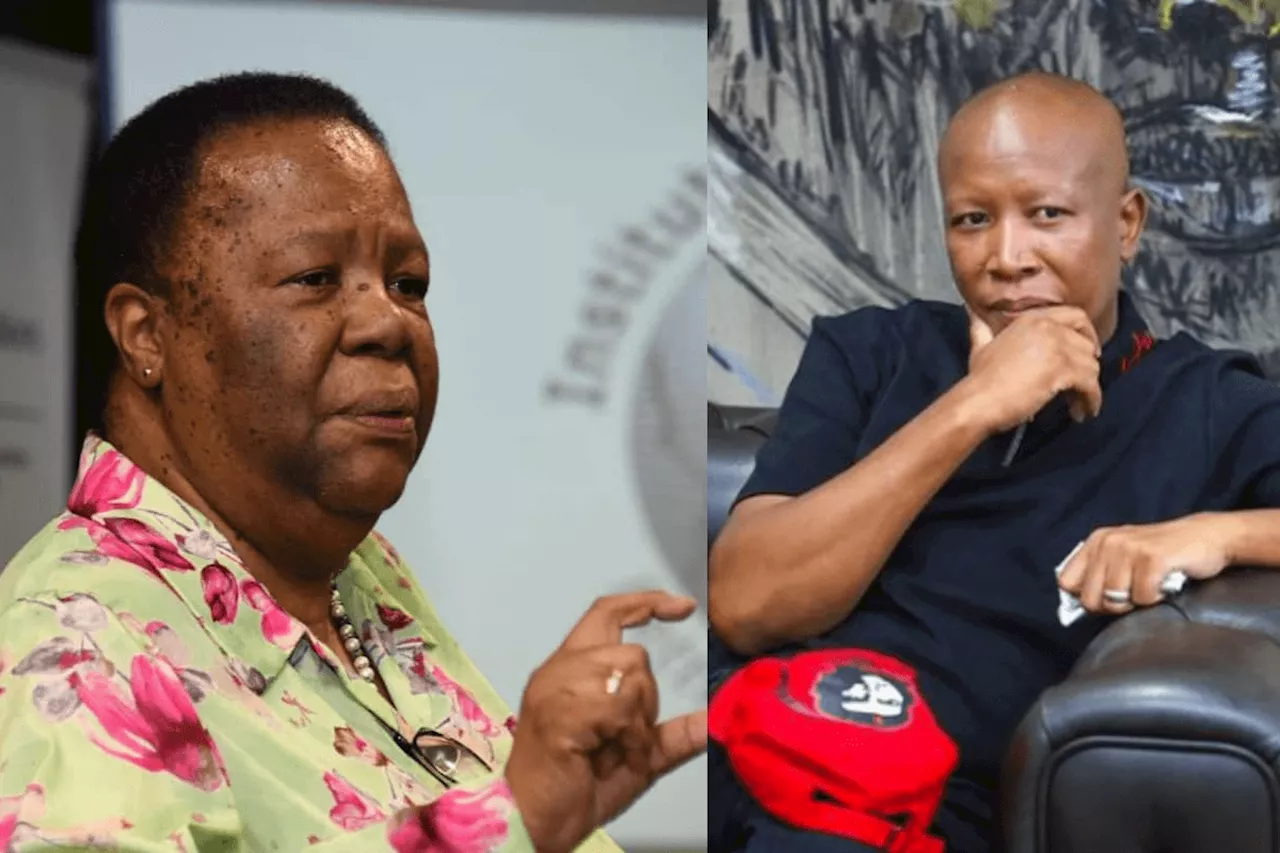 Did Naledi Pandor benefit from VBS Mutual Bank?