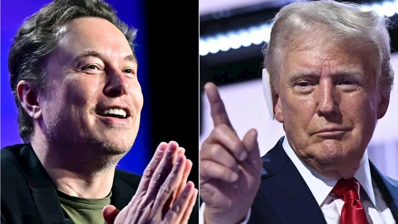 Elon Musk to deliver ‘drastic’ cuts to Donald Trump government