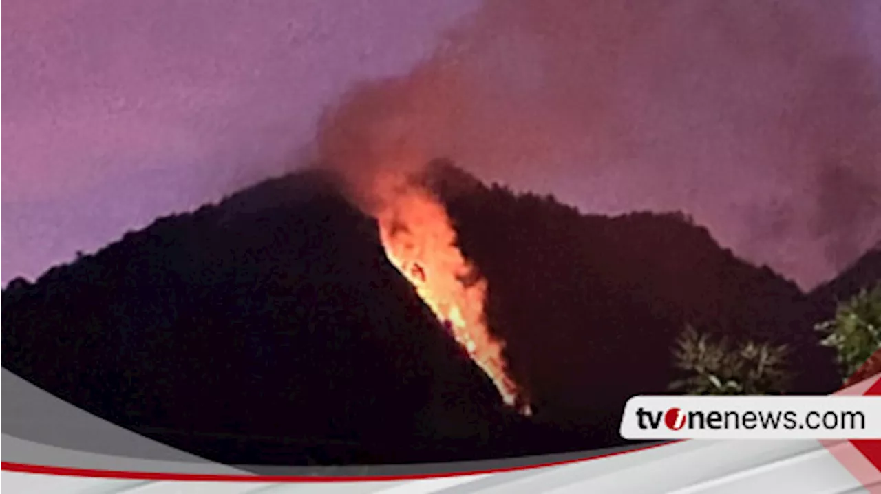 Kebakaran Melanda Kawasan Hutan di Lereng Gunung Telomoyo Kabupaten Semarang