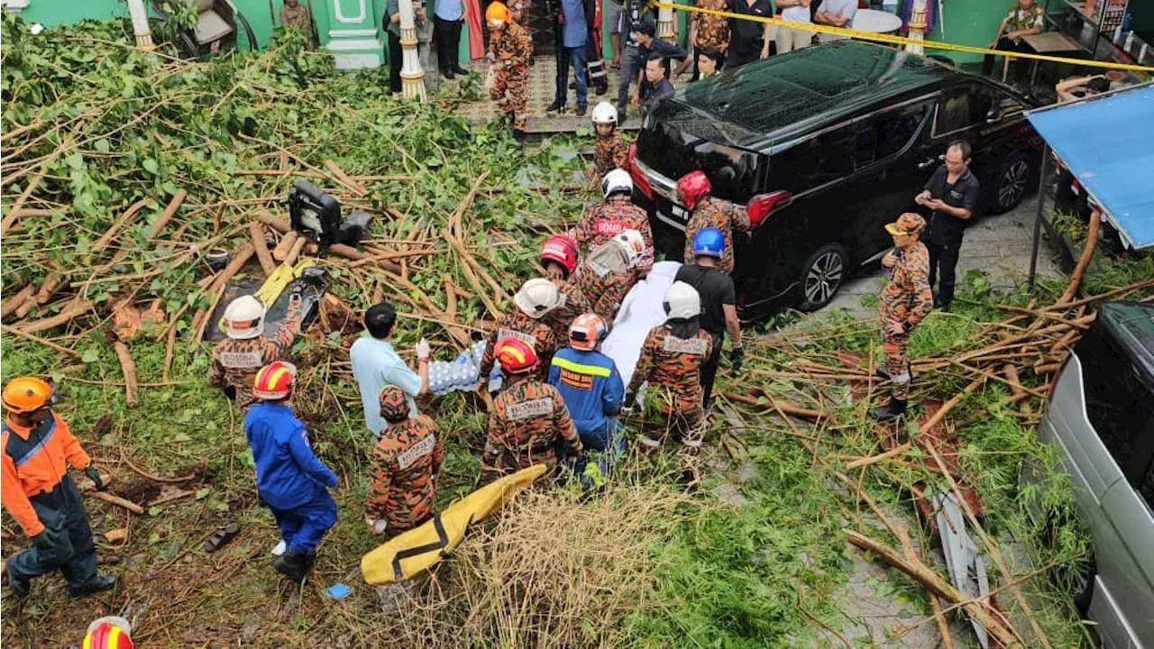 Dua pelancong China maut, kereta dihempap pokok