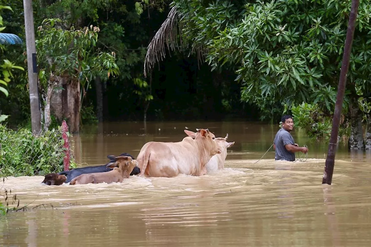 Hampir 3,000 mangsa dipindah di tiga negeri