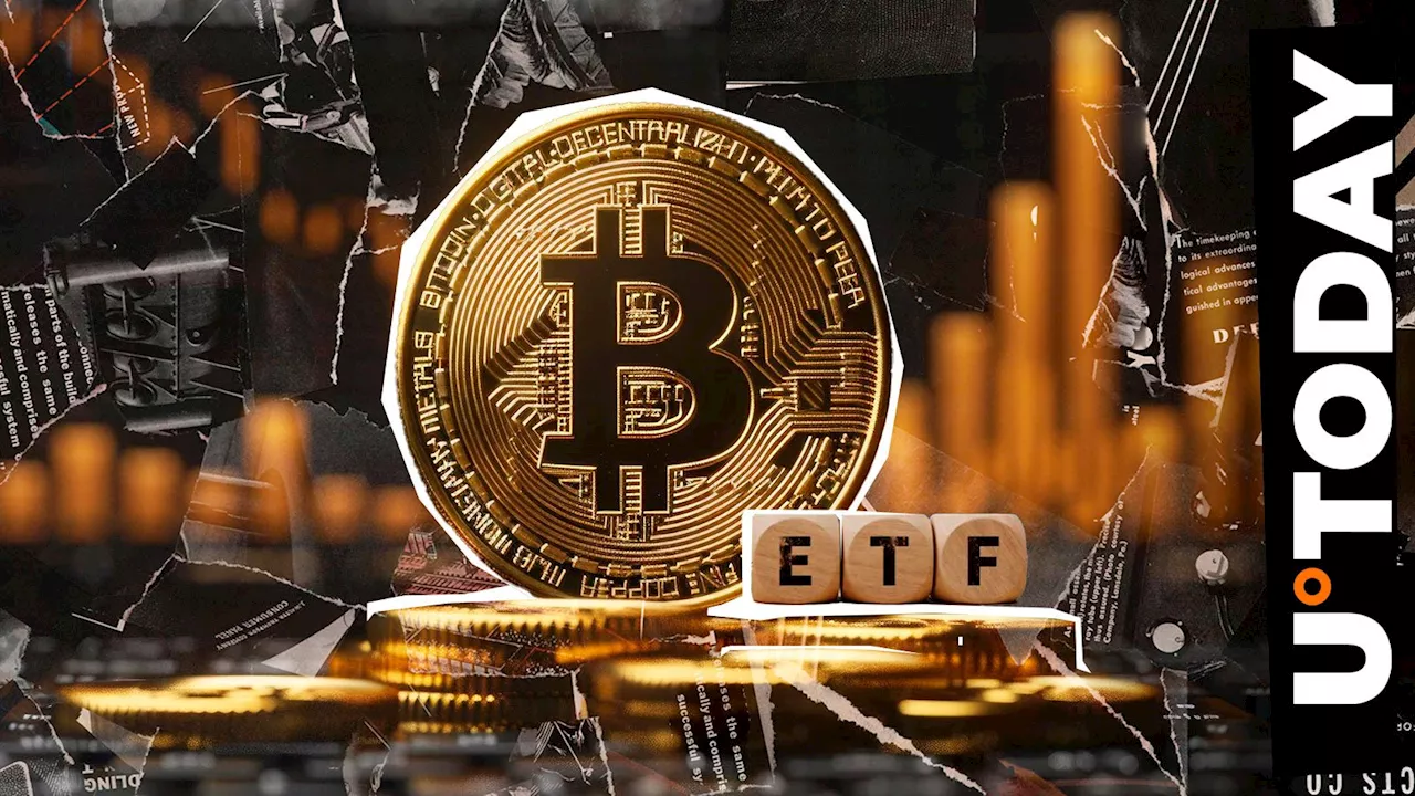 Bitcoin ETFs Return to Big Inflows Following BTC Price Surge