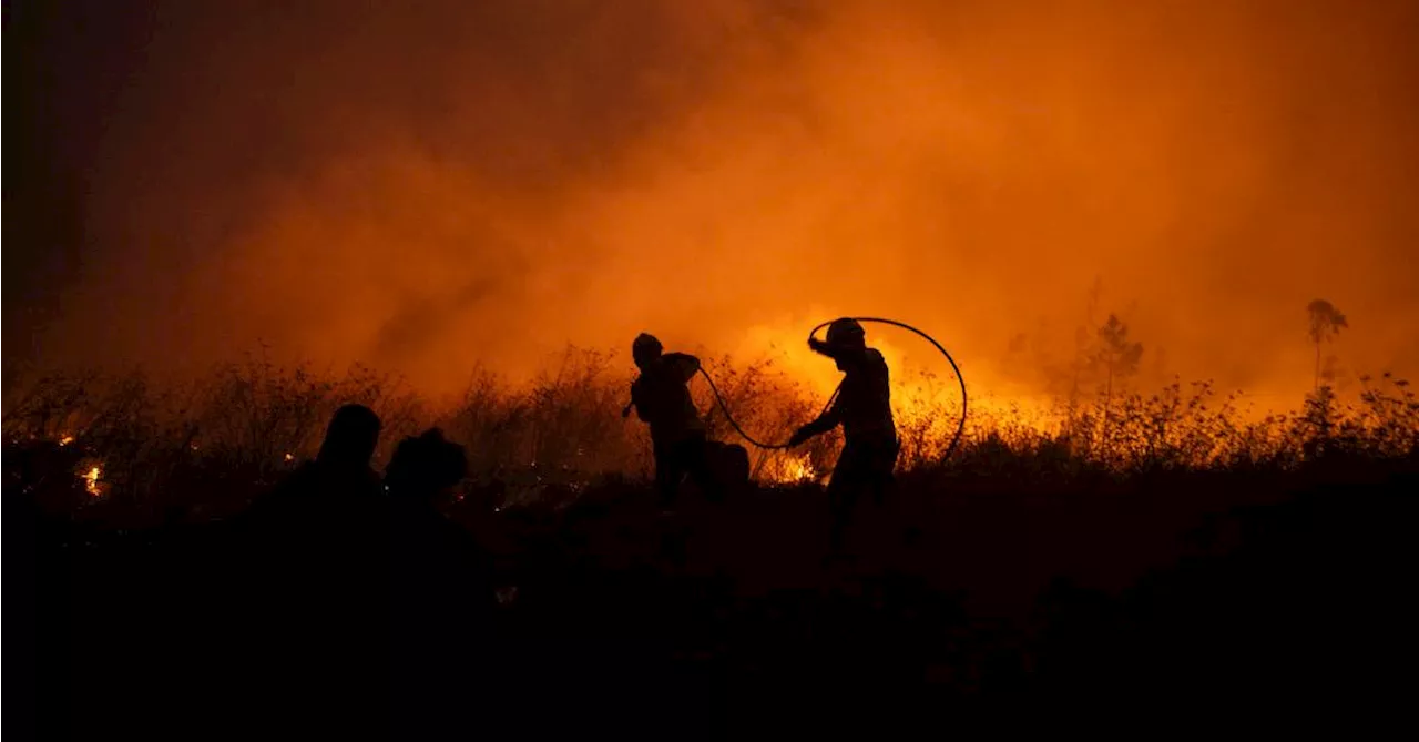 Com mais de 100 incêndios ativos, Portugal declara estado de calamidade