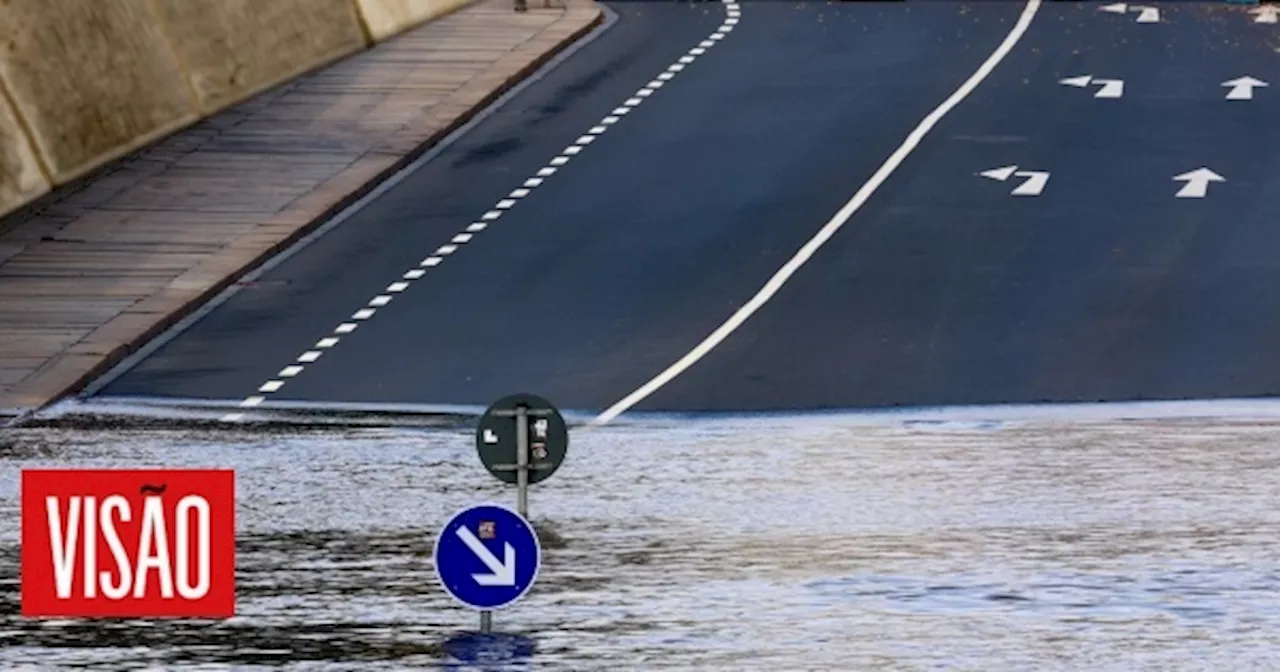 Quem acredita ainda nos negacionistas do clima? Editorial de Rui Tavares Guedes