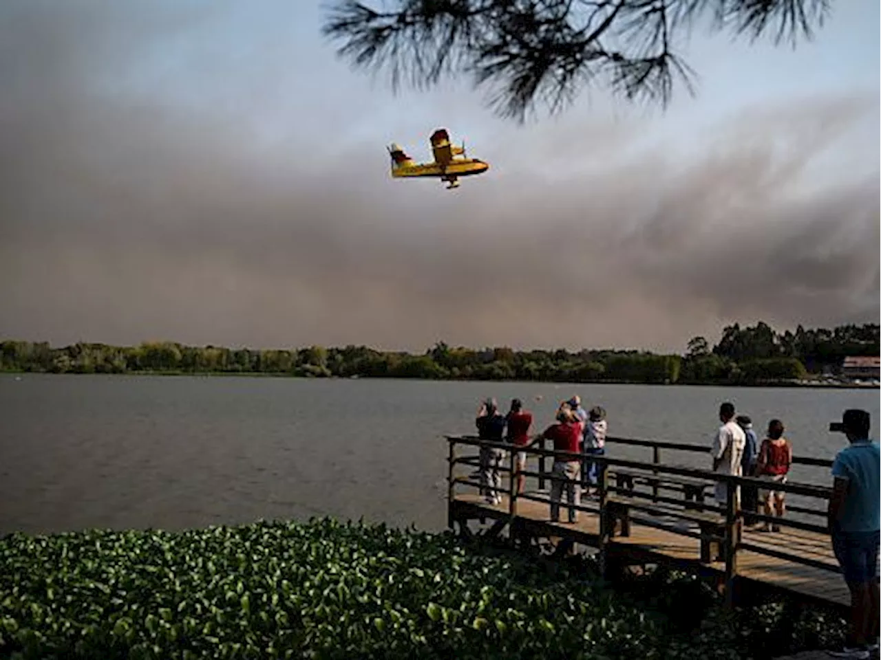 Verheerende Waldbrände gehen in Portugal weiter