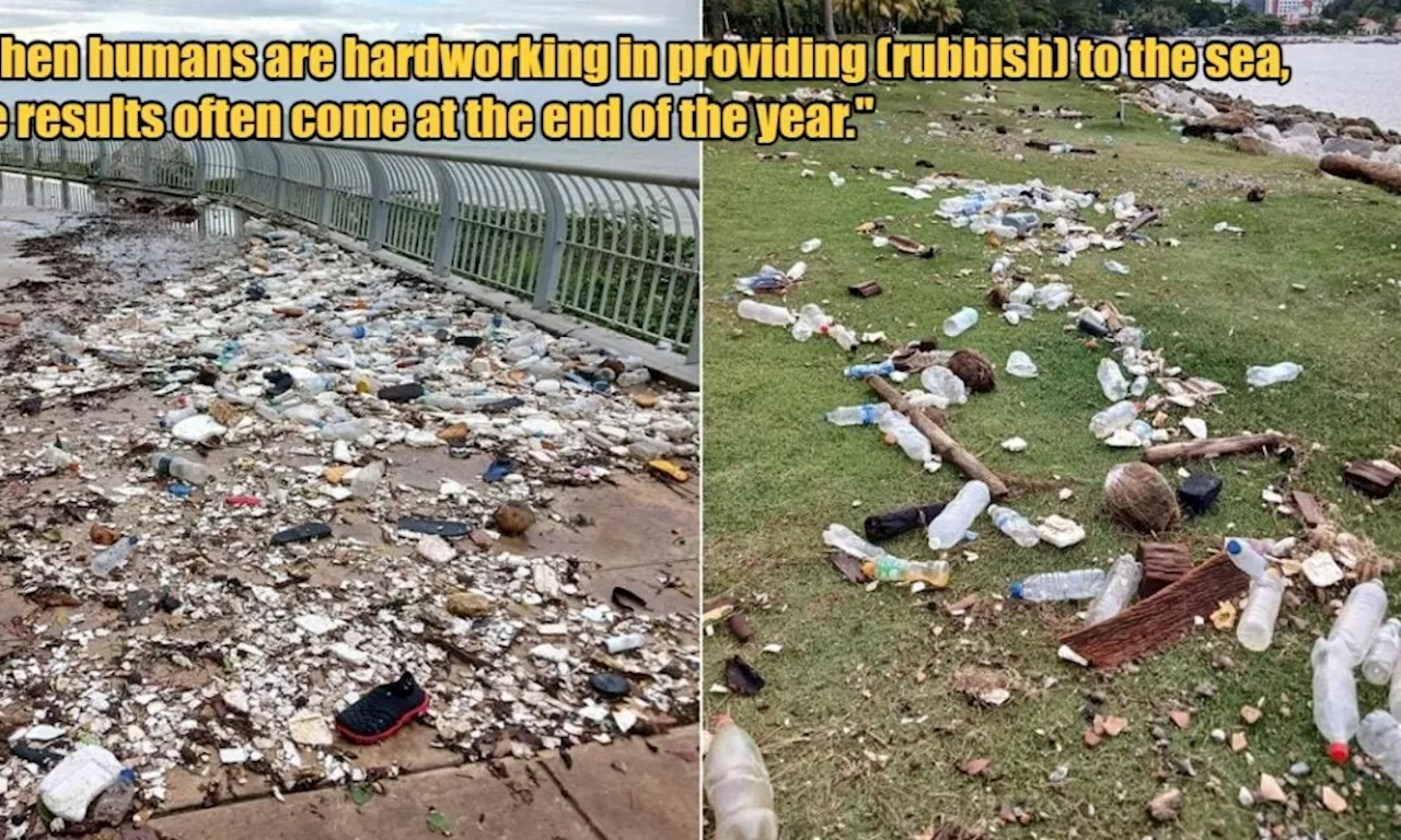 When Mother Nature 'Returns Gifts': Heaps of Litter Seen Washed Back Ashore After High Tide in Penang