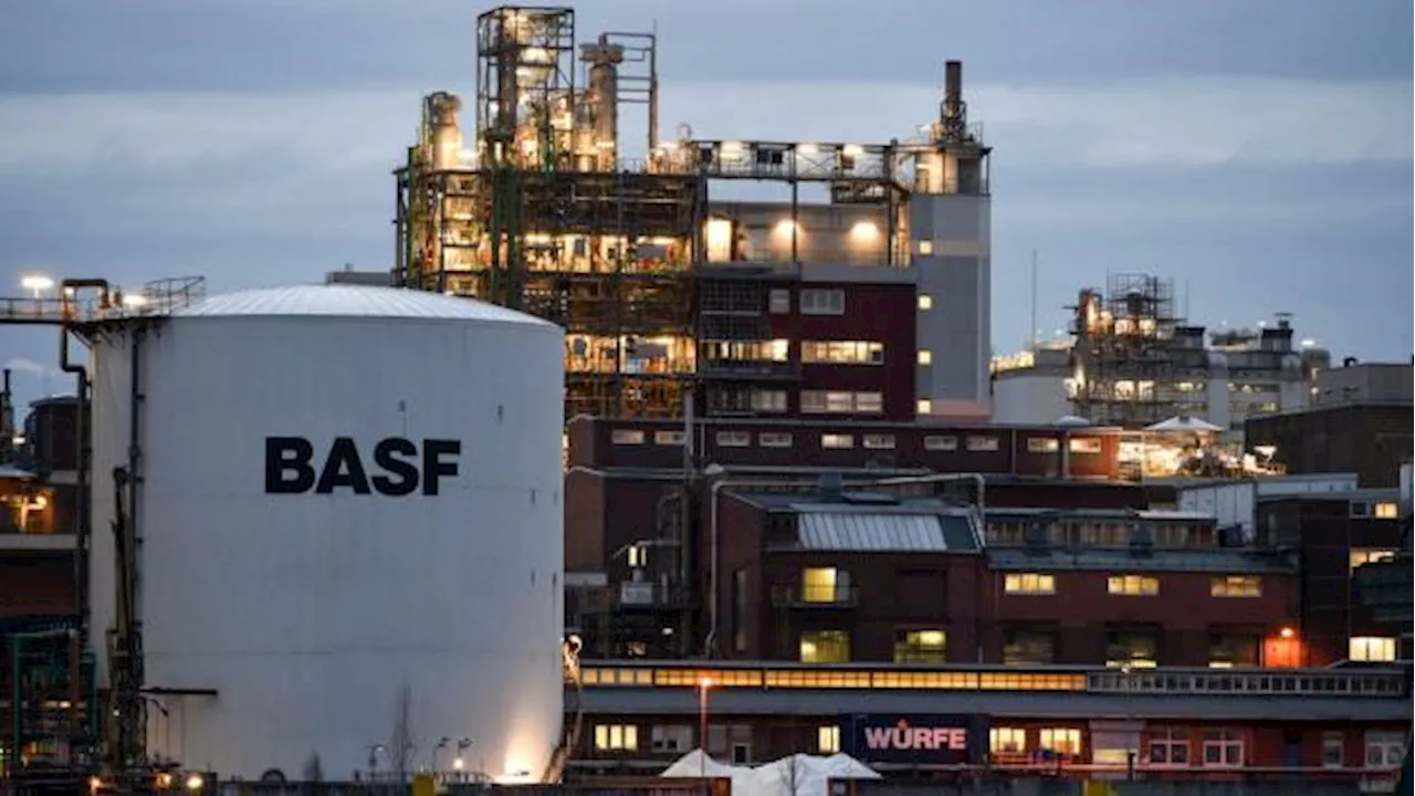 BASF: Agrarchemie vor Börsengang – Aktie vor größtem Tagesgewinn seit 2 Jahren