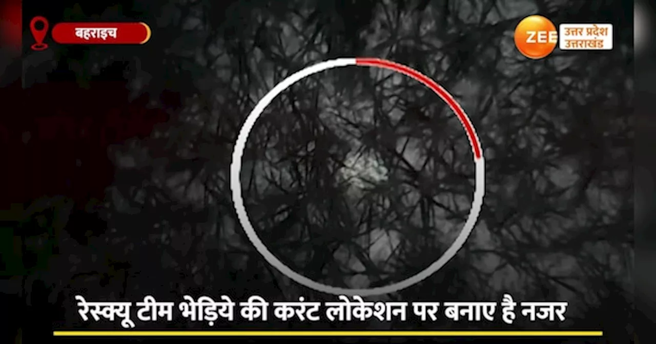 Bahraich Wolf Video:ड्रोन कैमरे में कैद हुआ छठा नरभक्षी भेड़िया, लंगड़े सरदार के चलते दहशत में हैं लोग