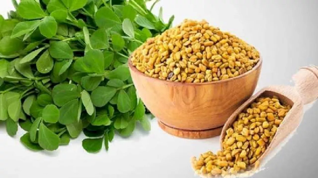 Fenugreek Benefits: ಪುರುಷರ ಲೈಂಗಿಕ ಬಯಕೆ ಹೆಚ್ಚಿಸುವ ಮೆಂತ್ಯ ಕಾಳು; ಪ್ರತಿದಿನ ಅರ್ಧ ಚಮಚ ಸೇವಿಸಿರಿ