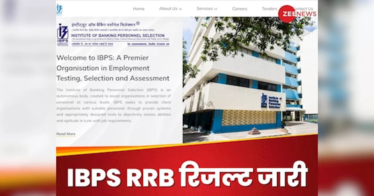 IBPS RRB PO Prelims Result 2024: आईबीपीएस पीओ रिजल्ट 2024 जारी, ये रहा चेक करने का डायरेक्ट लिंक और पूरा प्रोसेस