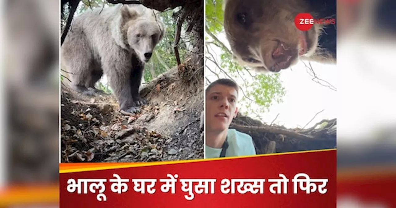 Video: इसे ही बोलते हैं मौत से पंगा लेना, भालू के घर में घुसा लड़का तो उसने आकर किया ऐसा