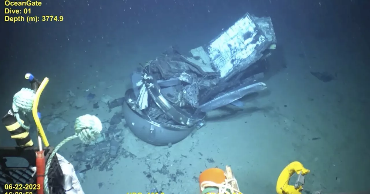 Titan submersible's scientific director says the sub malfunctioned just prior to the Titanic dive