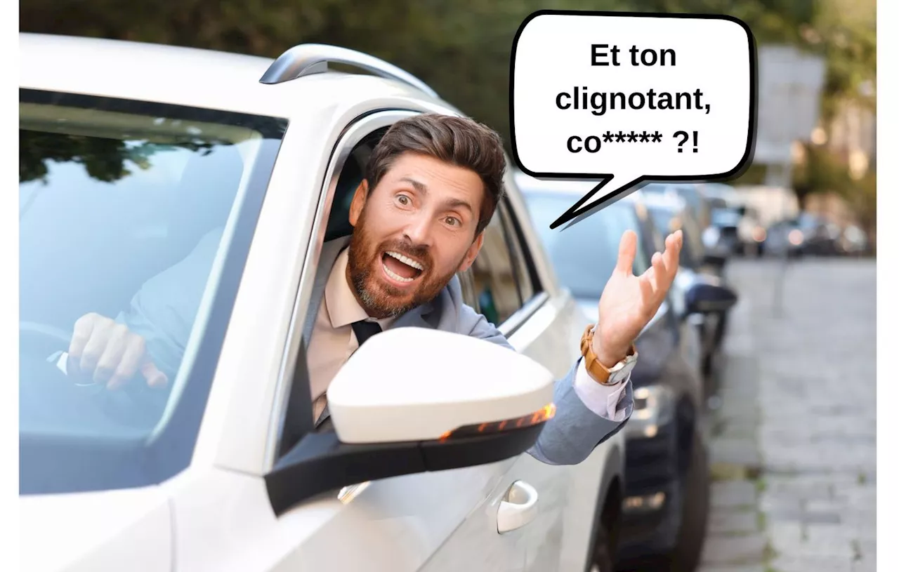 Les insultes préférées des automobilistes français