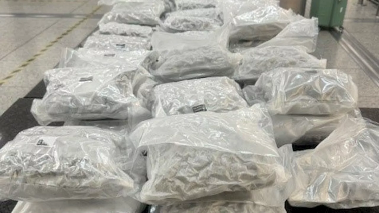 Detienen a un exjugador del Arsenal por traficar con 60 kilos de cannabis en dos maletas