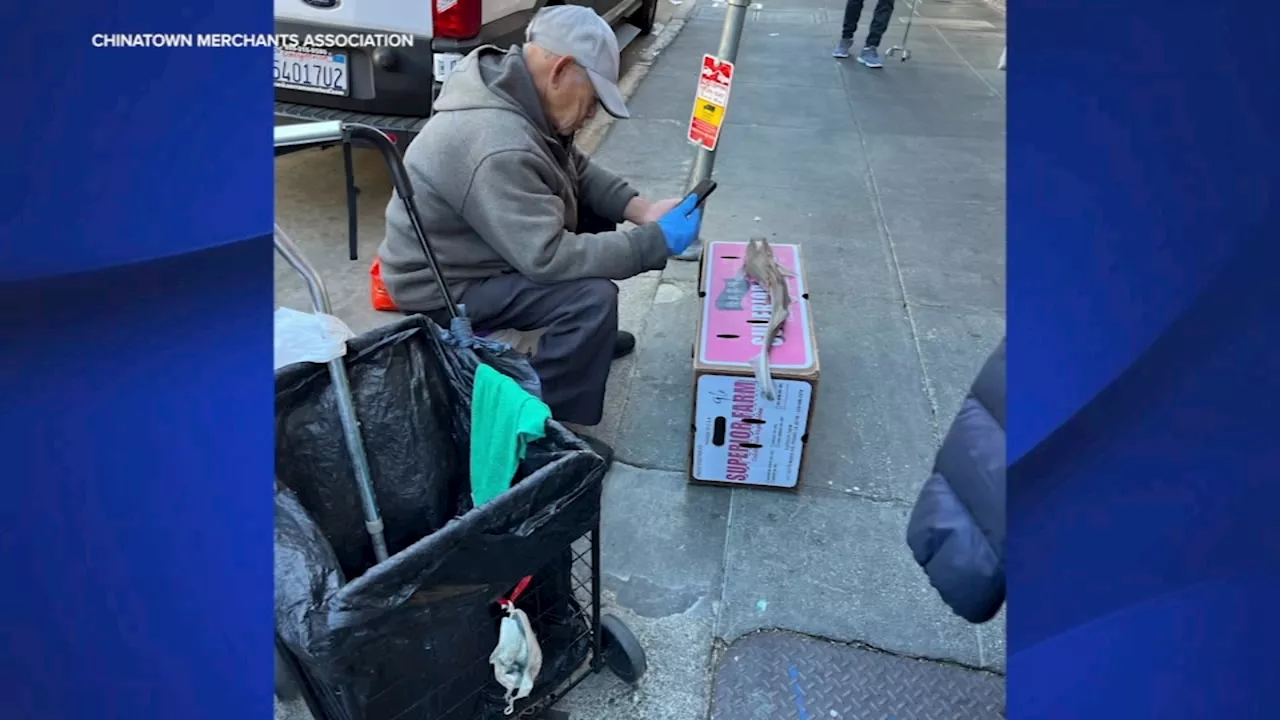 Raw meat, vegetables, even baby sharks: Illegal vending plaguing SF Chinatown