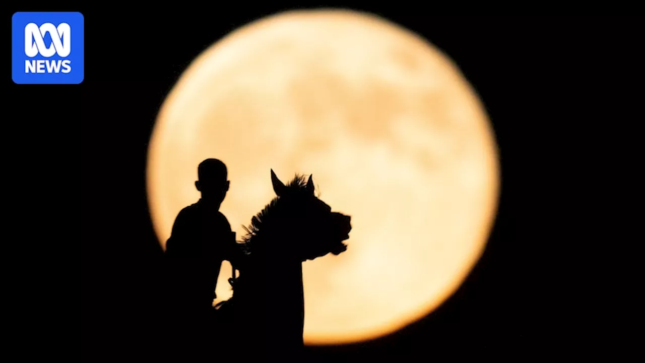 Dazzling pictures of the harvest supermoon captured by stargazers across the world