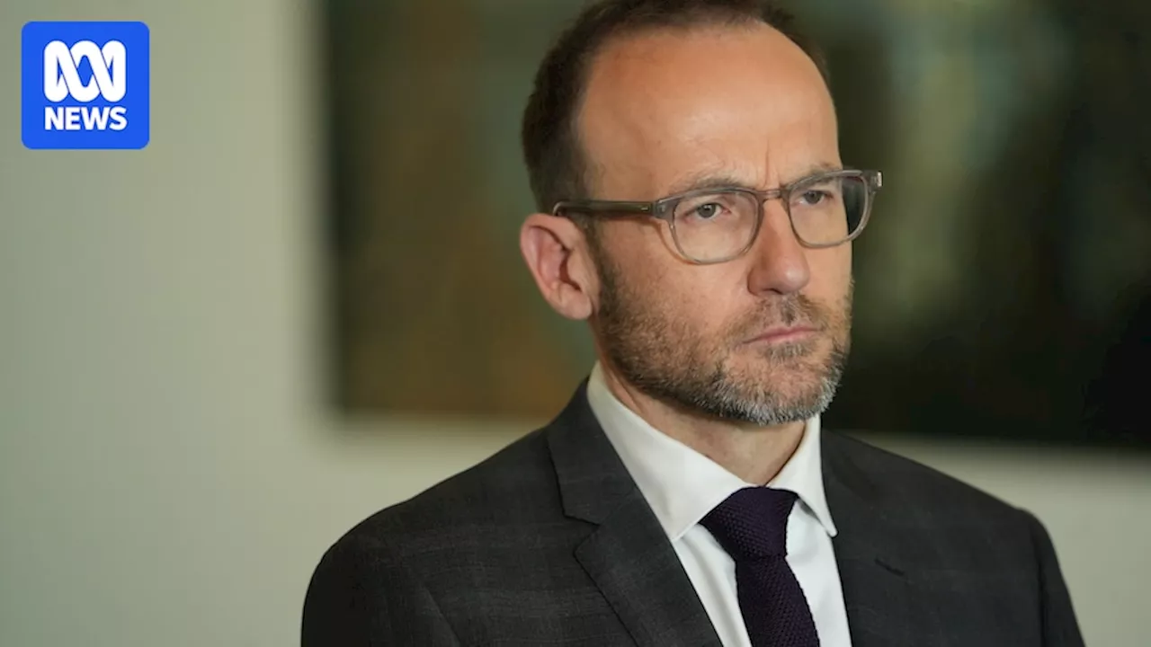 Greens leader Adam Bandt defends lack of Senate vote on Albanese government housing scheme