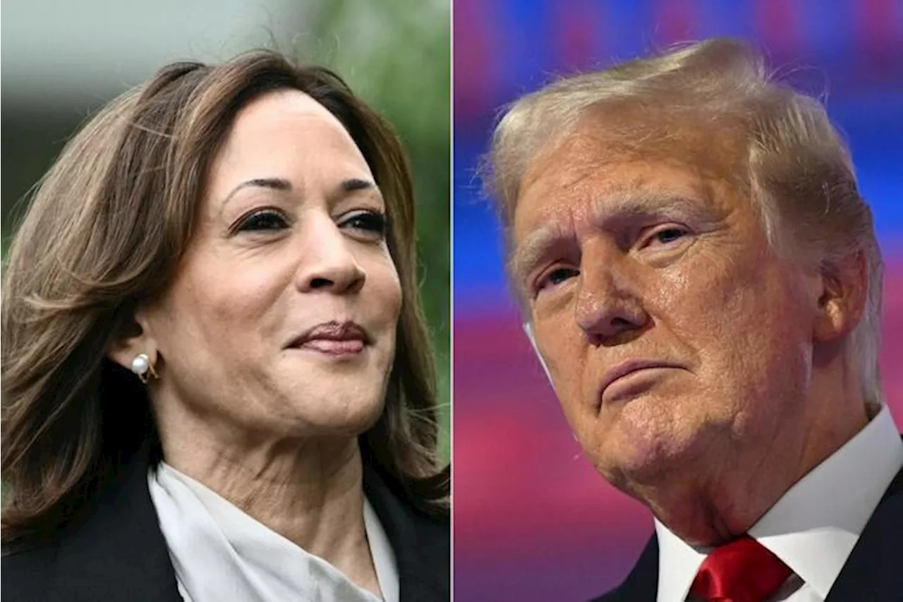 Sondaggio Fox, Harris avanti a Trump di due punti