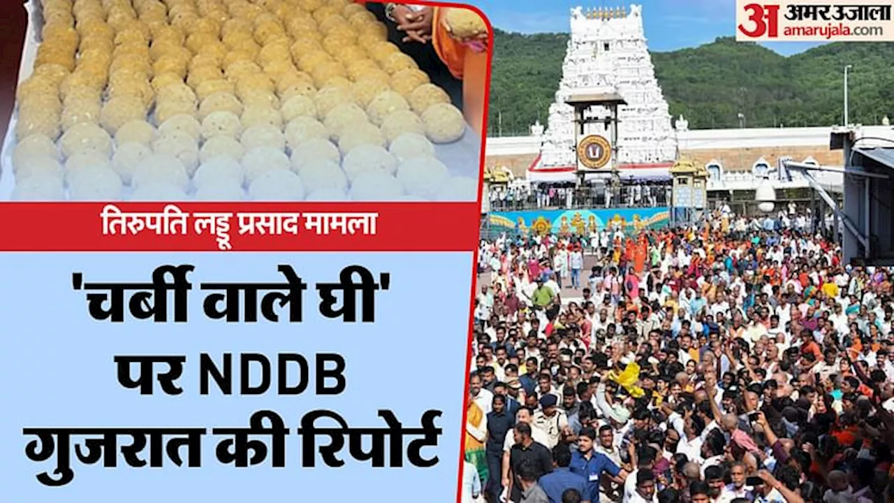 Tirupati Prasadam: लड्डू प्रसाद के घी में मिलावट की पुष्टि, NDDB रिपोर्ट में मछली के तेल समेत ये चीजें मिलीं