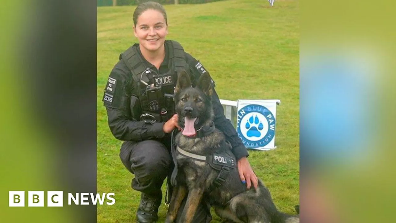 Police dogs injured in Staffordshire disorder rewarded by charity