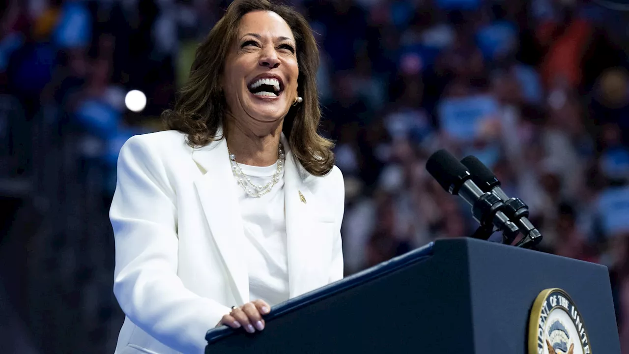 Le créateur d'une fausse vidéo sur Kamala Harris poursuit la Californie pour interdiction des 'deepfakes'...