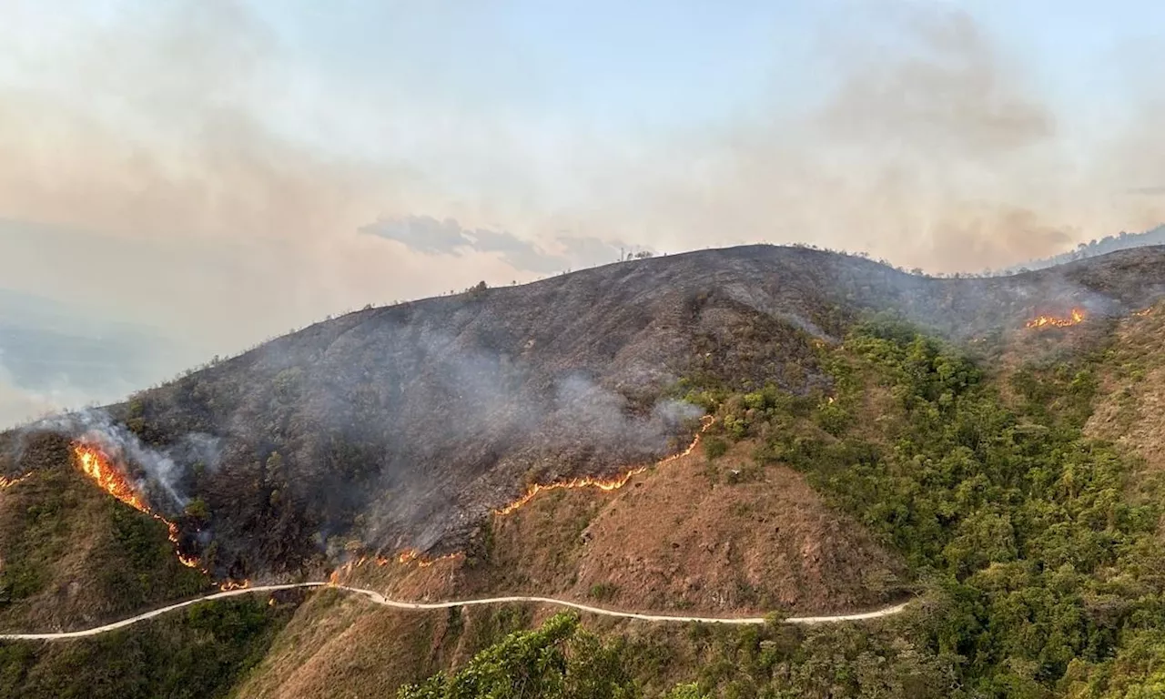 Llamado a los alcaldes para atender incendios e inundaciones debido al cambio climático