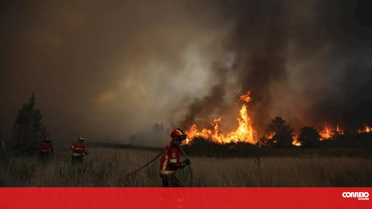 Incendiário detido pela PJ em Celorico da Beira