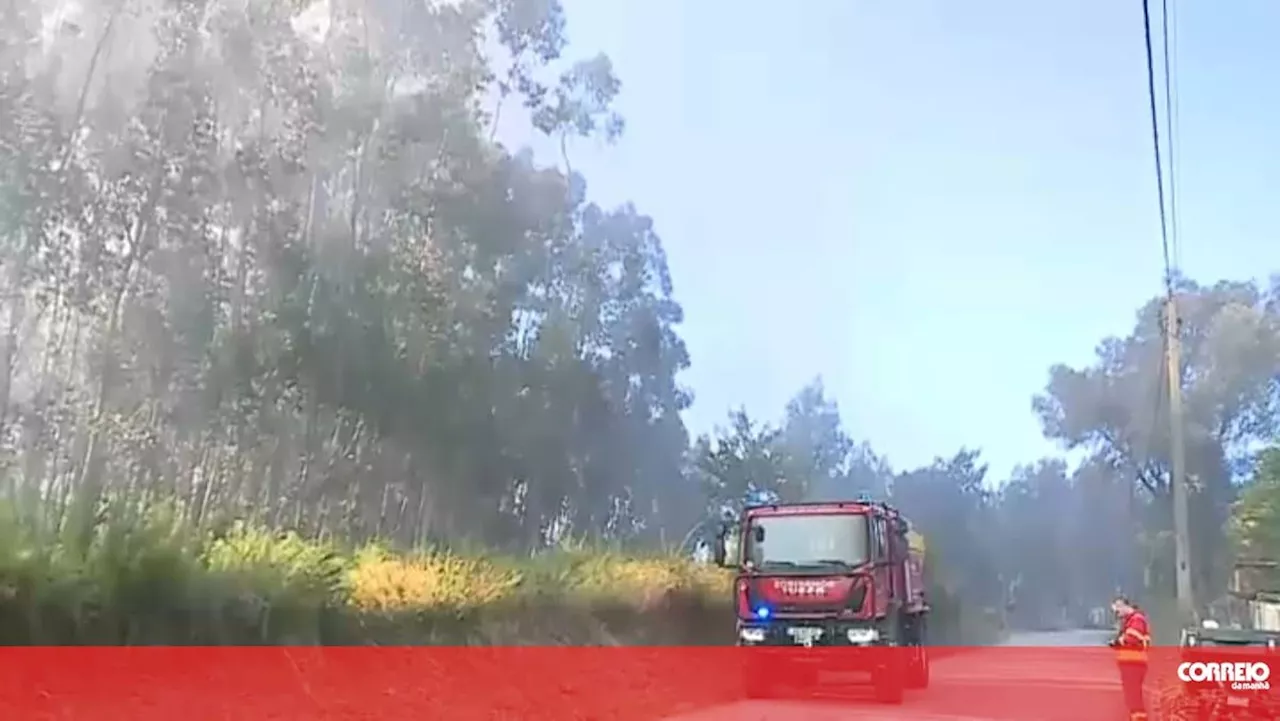 Vereador do PS de Arcos de Valdevez defende emparcelamento do minifúndio para combater fogos