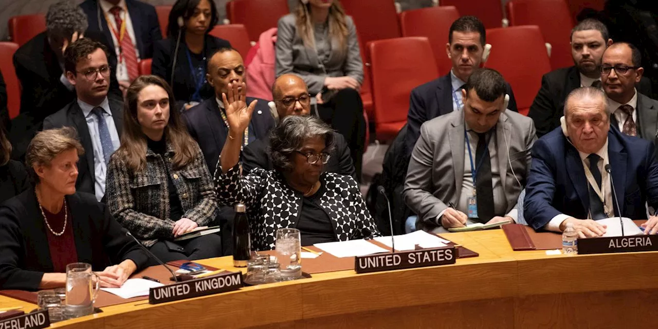 Report Shows How Five Global Powers on UN Security Council Are 'Vetoing Humanity'