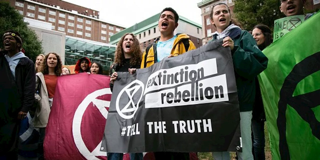Student Researchers Expose Fossil Fuel Ties at US Universities
