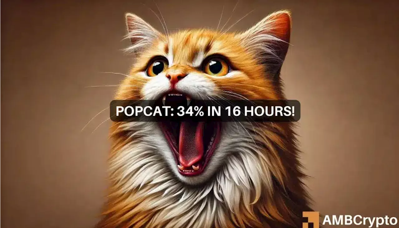 Popcat Price Soars 34% Amidst Bullish Momentum