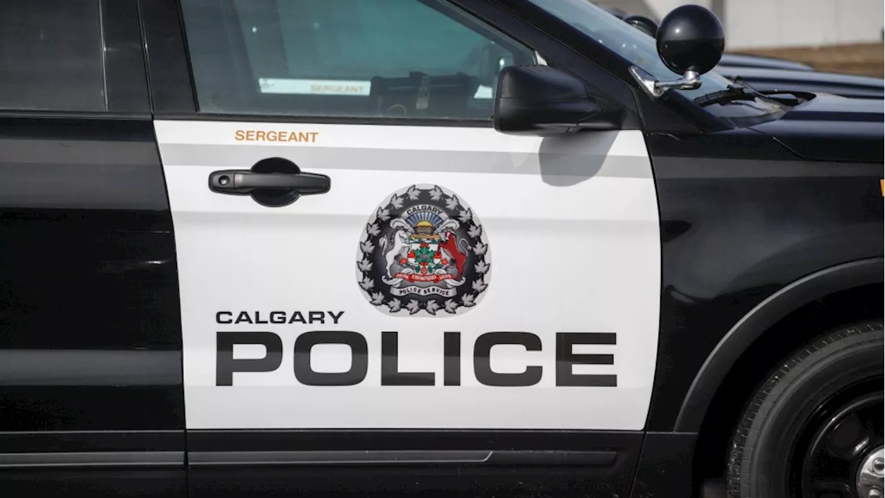 Calgary police investigate sexual assault of girl at Fish Creek Park