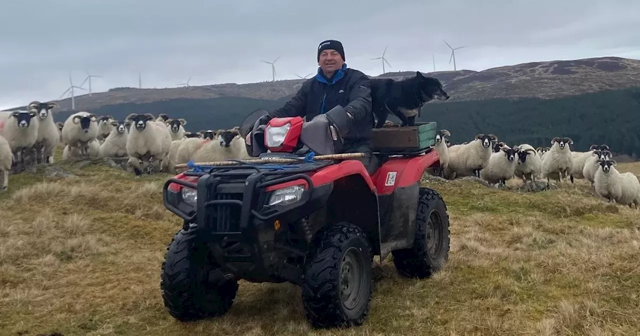 Farmer urges people to have their say on forestry planting scheme