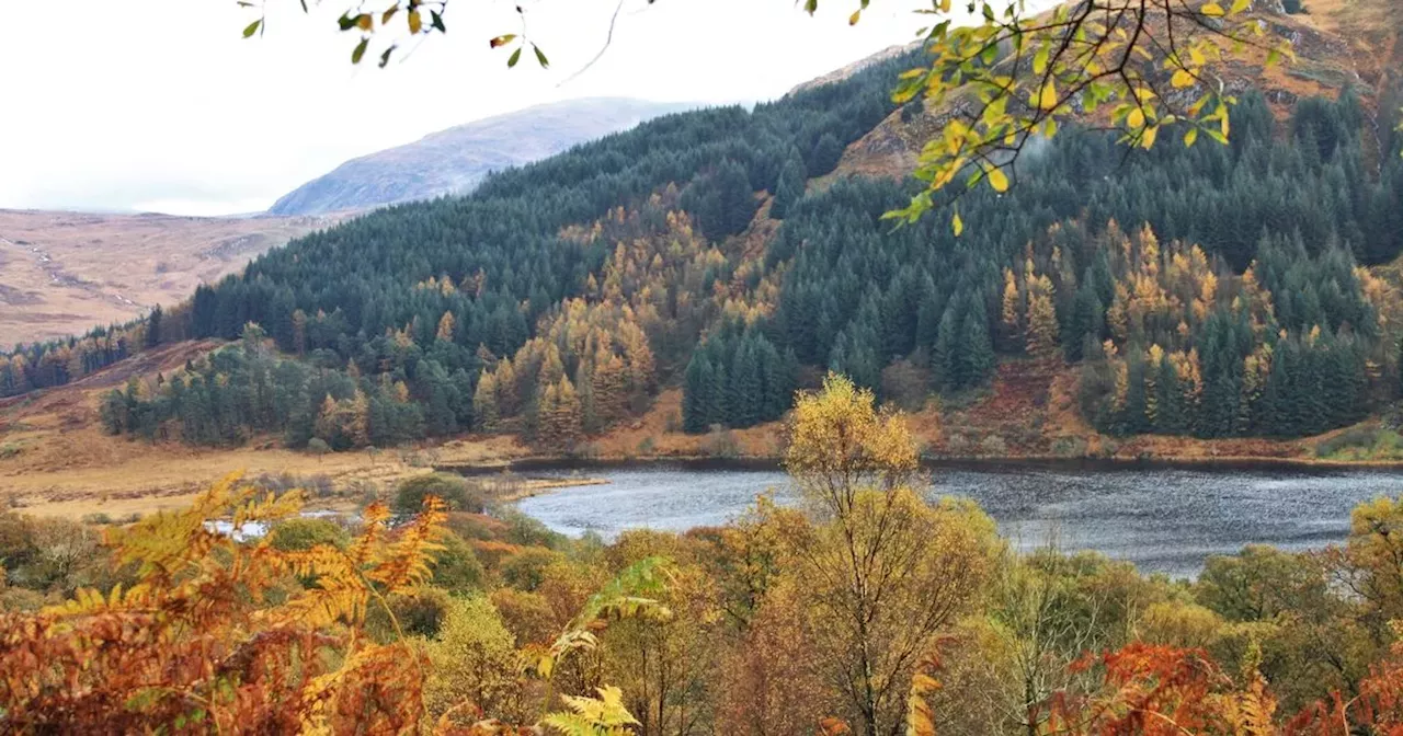 The 'world-famous' Scots mountain bike and hike centre ideal for autumn day out