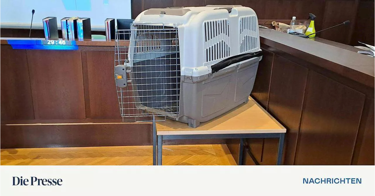 Bub in Hundebox gesperrt: Haftstrafe für Mutter bestätigt