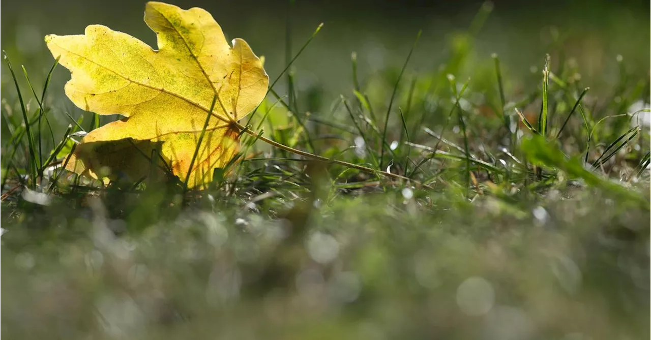 Wetter am Wochenende sonnig, ab Dienstag kommt wieder Kaltfront