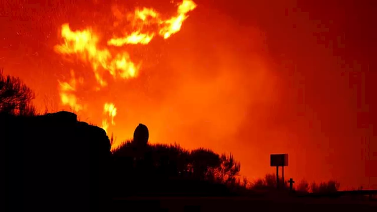 Wildfires: Portuguese police arrest 14 suspected arsonists