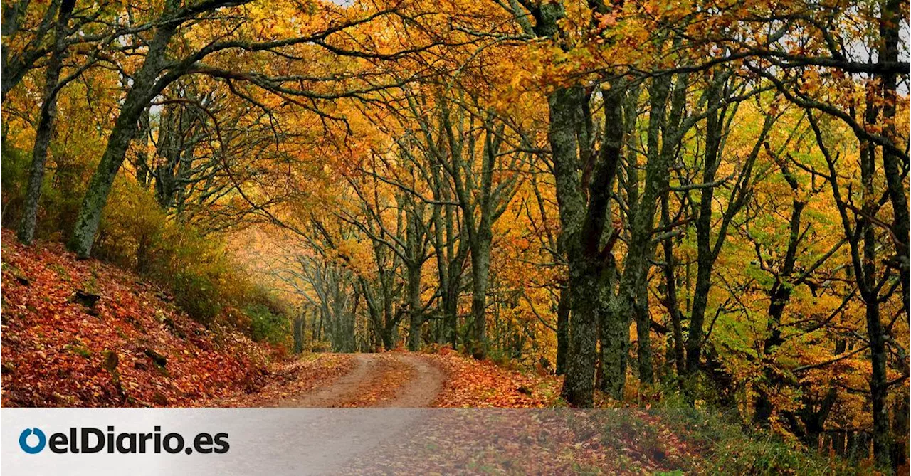 Tres pueblos cerca de Madrid realmente bonitos en otoño y perfectos para una escapada de fin de semana