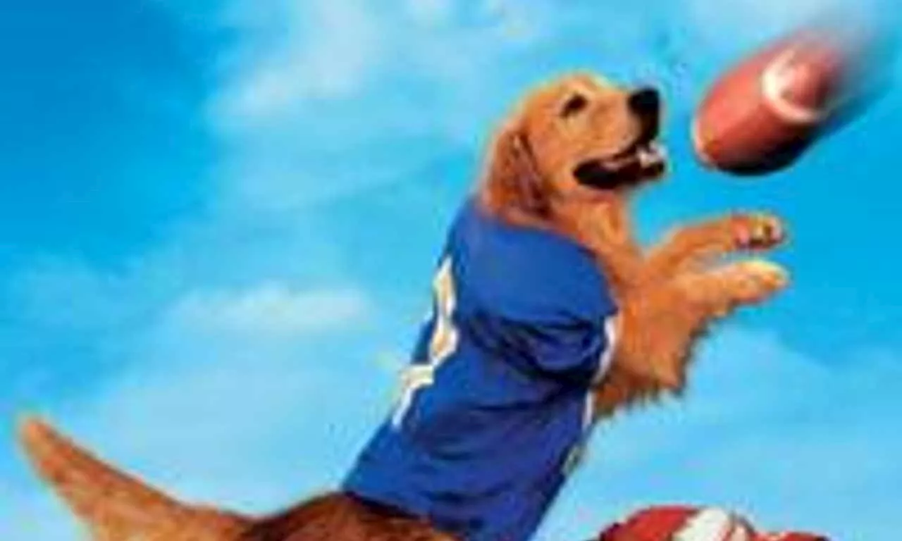 Air Bud: Golden Receiver - Where to Watch and Stream Online